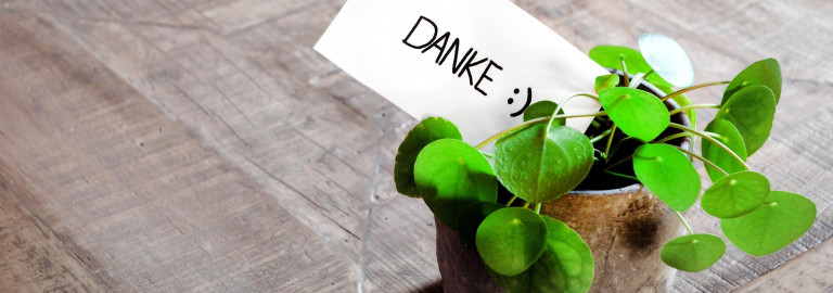 Blumenstock mit Danke-Schild